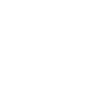 Gas spjæld BAOTIAN, BT49QT-2/12 (16MM)