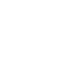 CASTORENE R40S 1L-100% SYNTETIC SPEEDWAY