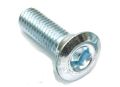 Brakedisc bolts