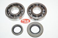 Leje kit for krumtap SUZUKI RM250 03-08
