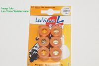 Leo Vince Variator-rulle 13,5x17 - 7,9 G