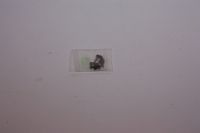 Nitteled knastkæde DID SC0417 DHA