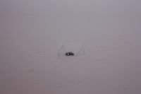 Nitteled knastkæde 82H2010