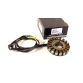 Stator GPZ500 GS1000 GSX750
