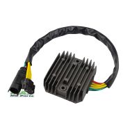 Ensretter BMW F650 F800 G650