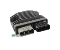 Ensretter BMW R1200GS S1000R