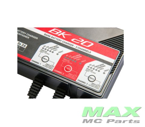 BS *WORKSHOP* BK20 CHARGER 12V/6V