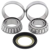 Steering Bearing Kit GAS GAS SM450FSR 06