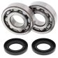 Crank Bearing and Seal Kit KX500 83-04