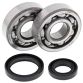 Crank Bearing and Seal Kit RM85 02-17