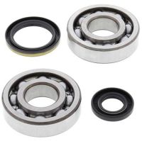 Crank Bearing and Seal Kit RM250 94-95