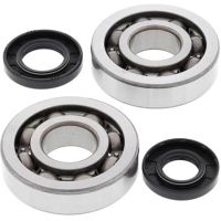 Crank Bearing and Seal Kit KX250 02-07