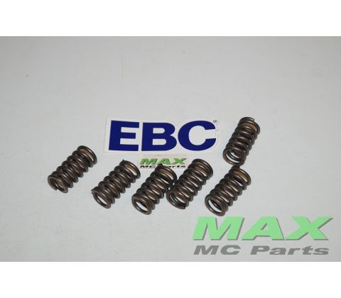 EBC Clutch spring kit (6 pcs) CSK009