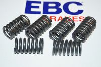 EBC Clutch spring kit (6 pcs) CSK041