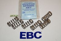 EBC Clutch spring kit (5 pcs) CSK076