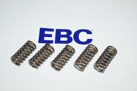 EBC Clutch spring kit (5 pcs) CSK132