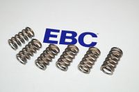 EBC Clutch spring kit (6 pcs) CSK158